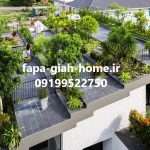 تولید کننده عمده درخت و درختچه در تهران | فاپا هوم گیاه