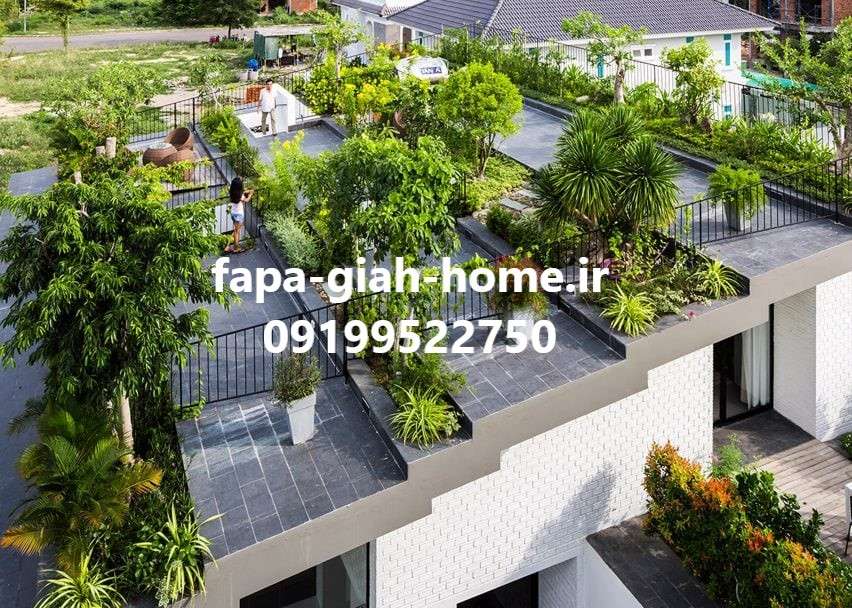 تولید کننده عمده درخت و درختچه در تهران