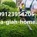 خدمات نگهداری باغ در تهران