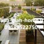 نصاب روف گاردن در تهران چه نام دارد؟