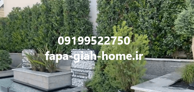 طراحی و اجرای دیوار سبز با قیمت مناسب