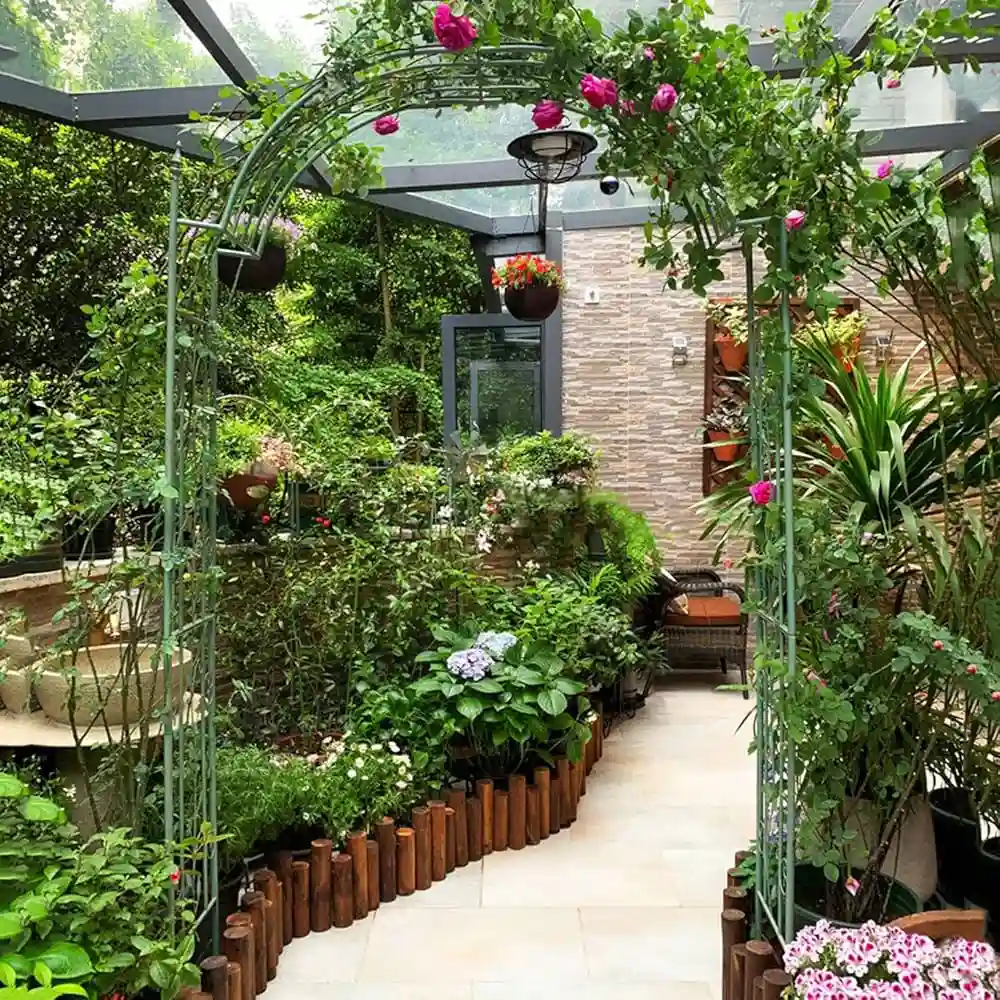 گیاهان روینده روف گاردن