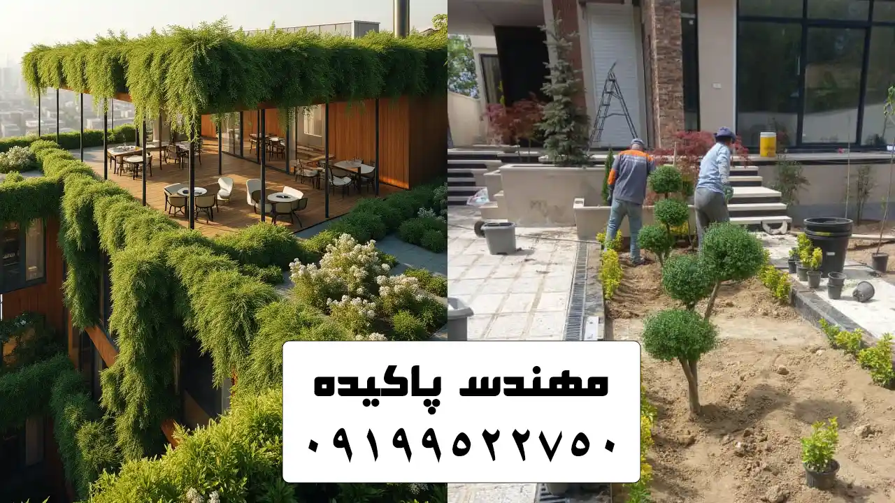 نمایی از طراحی و اجرای حرفهای روف گاردن در پشتبام یک ساختمان با استفاده از لایه های زهکشی و گیاهان