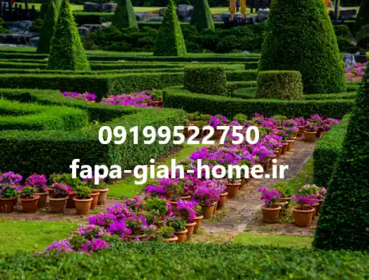 انواع گل و گیاه زینتی