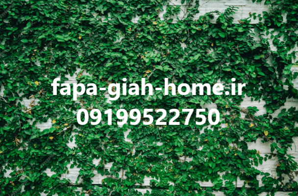 مرکز فروش گرین وال در تهران