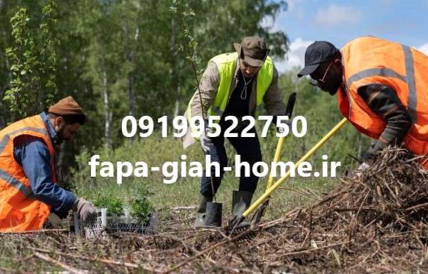 مراحل اجرای بام سبز در تهران