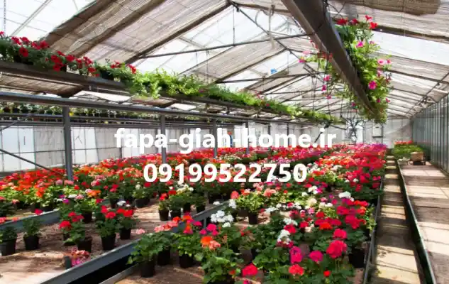 گل و گیاه زینتی برای باغ