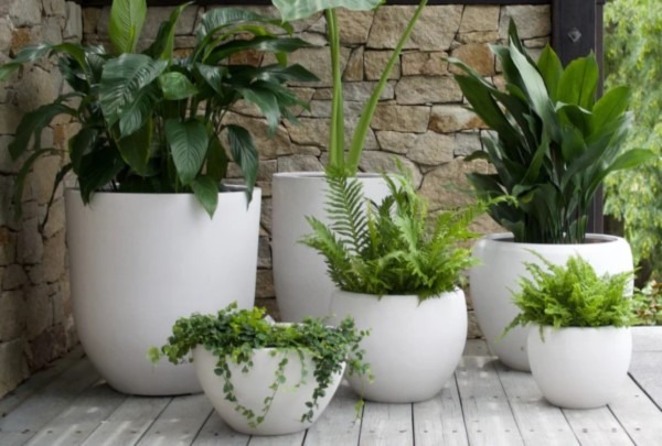 گلدان دایرهای روف گاردن