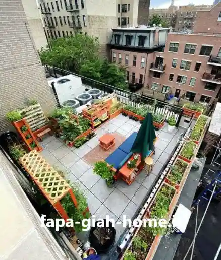 گیاهان مناسب روف گاردن های کوچک