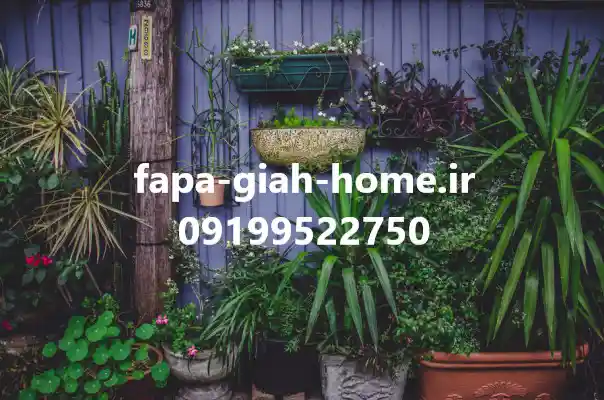 درختان مناسب روف گاردن