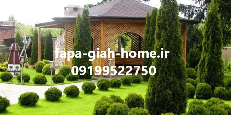 آشنایی با درخت تزئینی برای ویلا