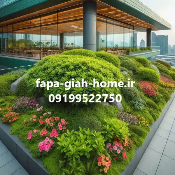 درختچه کوچک و زیبا بام سبز