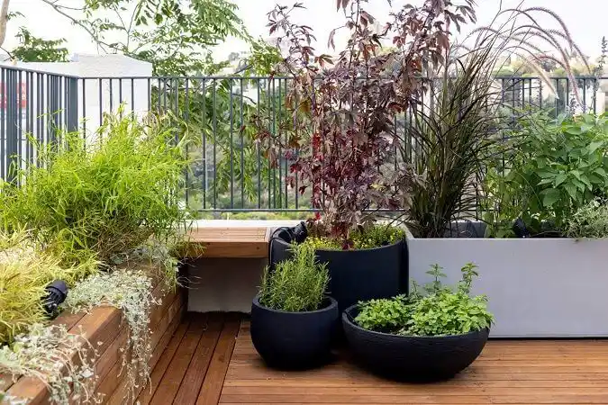 کاشت گیاهان بلند برای فضاسازی بام