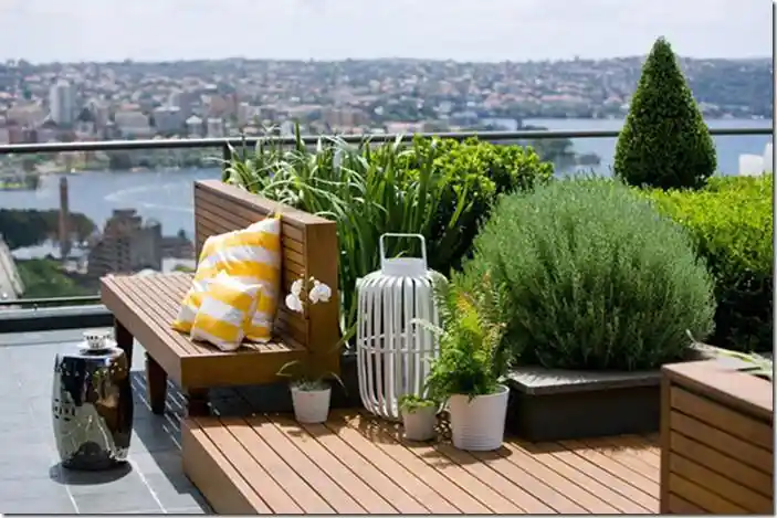 روف گاردن چیست؟ | همه چیز راجب گرین روف را بدانید!