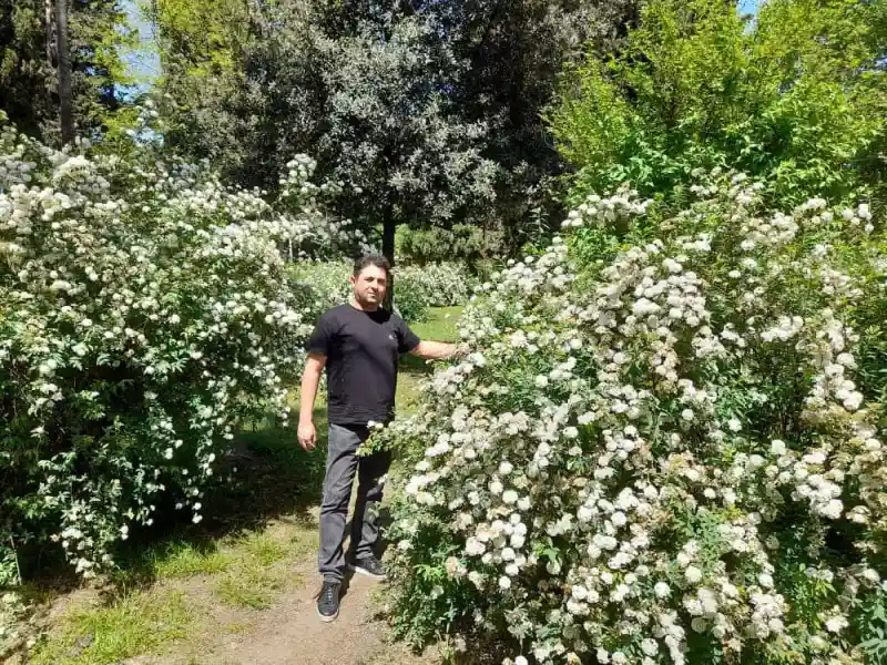 انواع سبک باغ ویلا