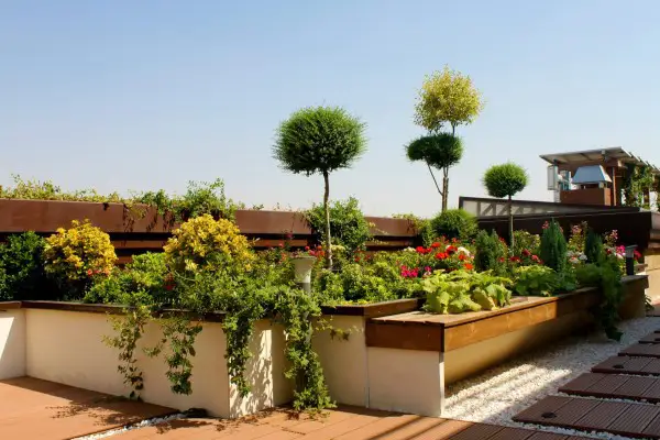 گیاهان مناسب برای روف گاردن مازندران